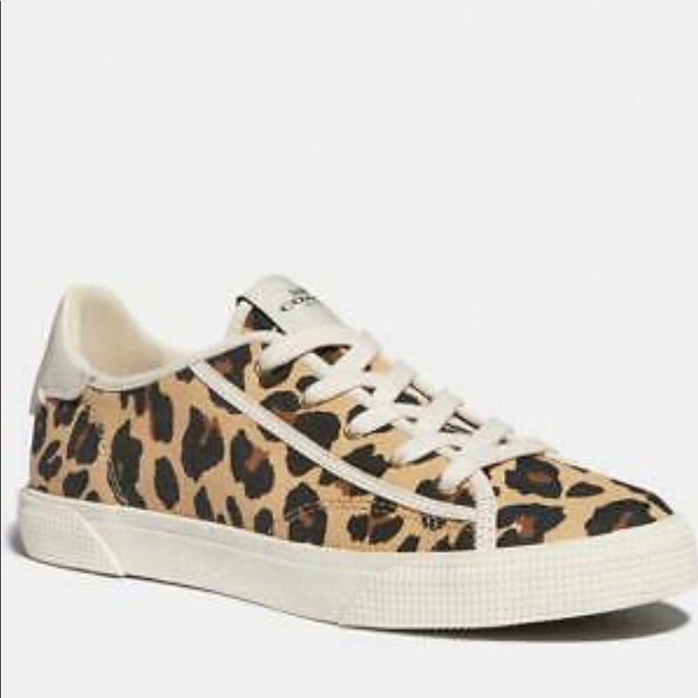 Coach shoes